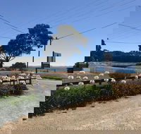 Penguin  Pardalote Coffee House - Kalgoorlie Accommodation