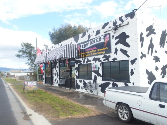 Avoca TAS Kalgoorlie Accommodation