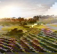 Sandalford Restaurant