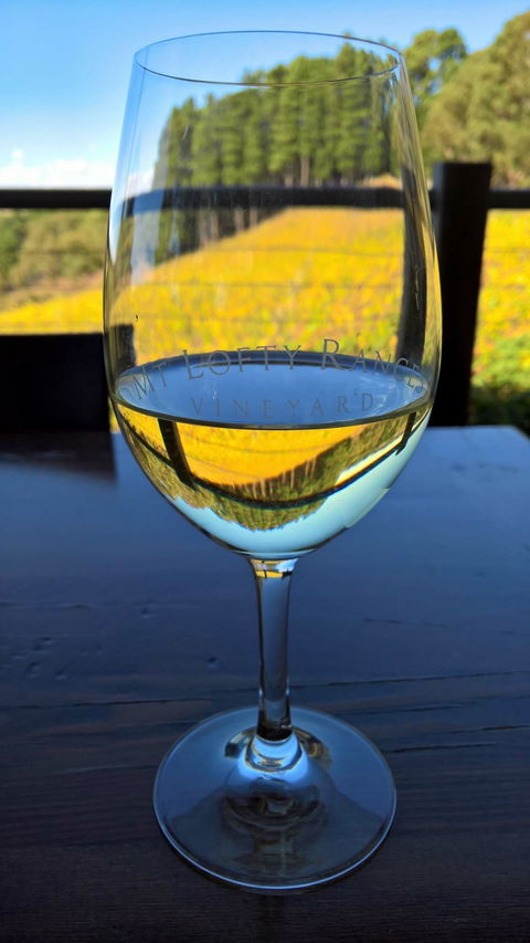 Mt Lofty Ranges Vineyard - Kalgoorlie Accommodation 4