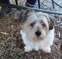 Cinnamon Grove - Kalgoorlie Accommodation