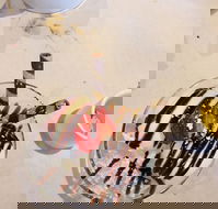 China T - Kalgoorlie Accommodation