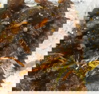 Diamond Chinese Take Away Foods - Kalgoorlie Accommodation