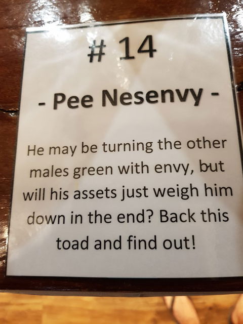 The Gateway Hotel - Kalgoorlie Accommodation 6