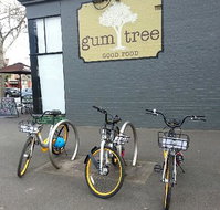 Gum Tree Good Food - Kalgoorlie Accommodation