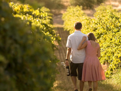 Novotel Barossa Valley Resort - Kalgoorlie Accommodation 1