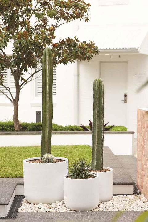 Adina Apartment Hotel Chippendale - Kalgoorlie Accommodation 0