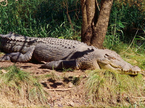 Mercure Darwin Airport Resort - Kalgoorlie Accommodation 17