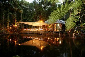 Daintree Eco Lodge & Spa - Kalgoorlie Accommodation 2