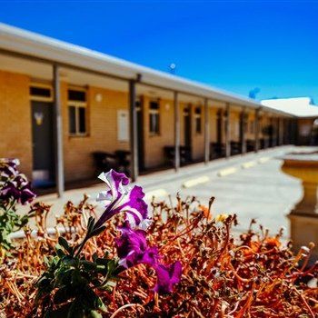 MAS Country Club Motor Inn - Kalgoorlie Accommodation 1