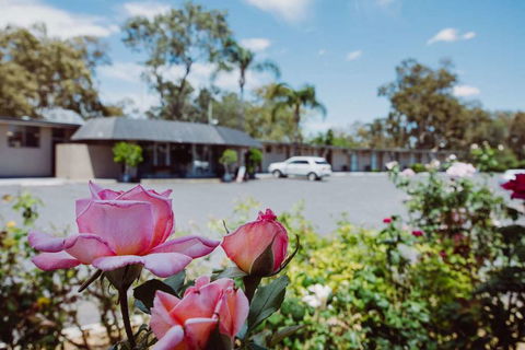 Artesian Spa Motor Inn - Kalgoorlie Accommodation 2