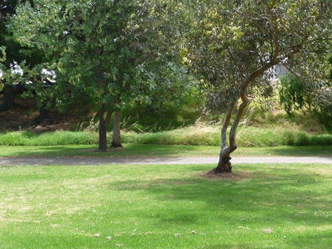 Victor Harbor Holiday Park - Kalgoorlie Accommodation 24