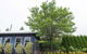 S T U D I O 22 Peaceful Retreat With Garden Views - thumb 11