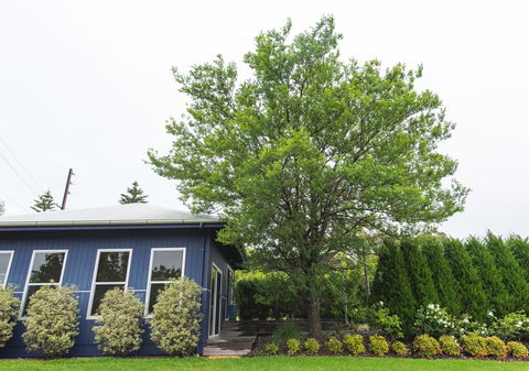 S T U D I O 22 Peaceful Retreat With Garden Views - Kalgoorlie Accommodation 11