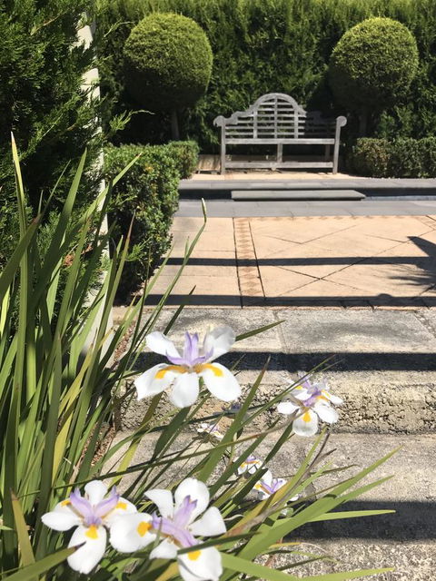 S T U D I O 22 Peaceful Retreat With Garden Views - Kalgoorlie Accommodation 13