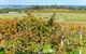 Sun & Surf Aldinga Beach Apartment - thumb 15