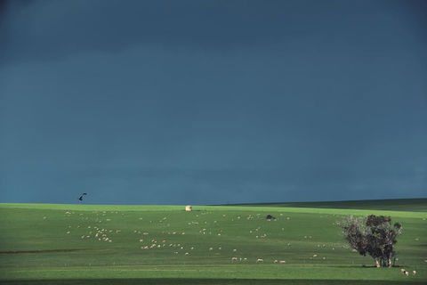 Boutique Getaway On Wright - Kalgoorlie Accommodation 29