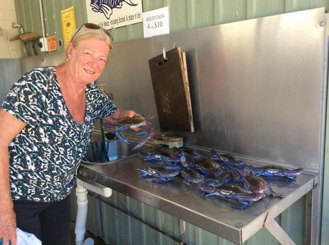 Ceduna Foreshore Caravan Park - Kalgoorlie Accommodation 28