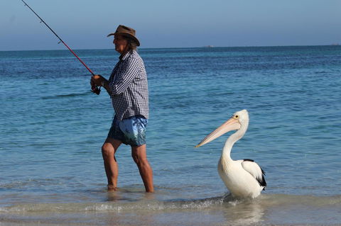 Ceduna Foreshore Caravan Park - Kalgoorlie Accommodation 21
