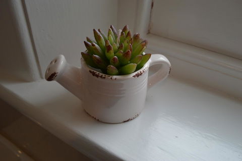 Two Cow Cottage Bed & Breakfast - Kalgoorlie Accommodation 21