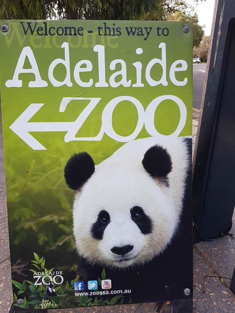 Adelaide Style Accommodation-Close To City-North Adelaide-3 Bdrm- FREE Parking - Kalgoorlie Accommodation 35