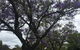Adelaide Style Accommodation-Close To City-North Adelaide-3 Bdrm- FREE Parking - thumb 34
