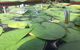 Adelaide Style Accommodation-Close To City-North Adelaide-3 Bdrm- FREE Parking - thumb 41