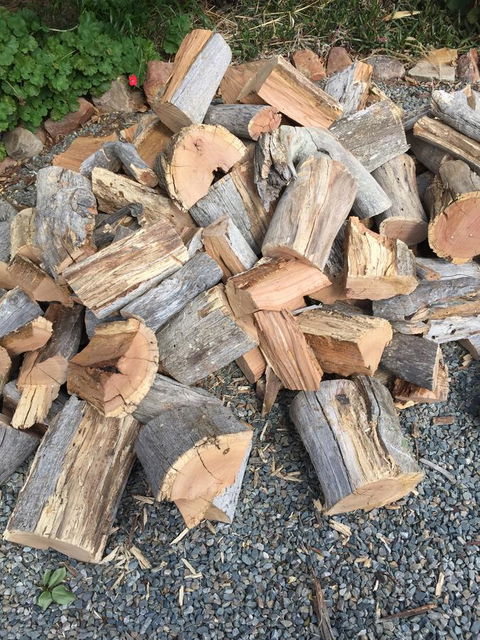 Blyth Cottage Burra - Kalgoorlie Accommodation 17