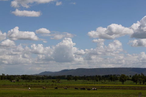 Isis Motel Scone - Kalgoorlie Accommodation 5