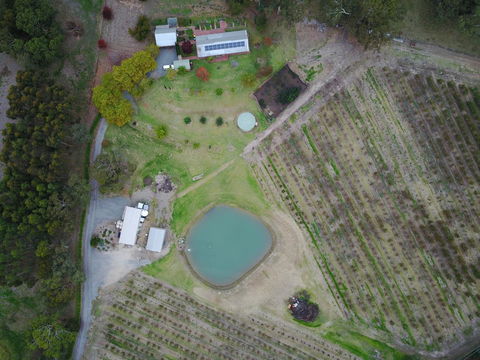 STUDIO ECHUNGA Adelaide Hills - Kalgoorlie Accommodation 22