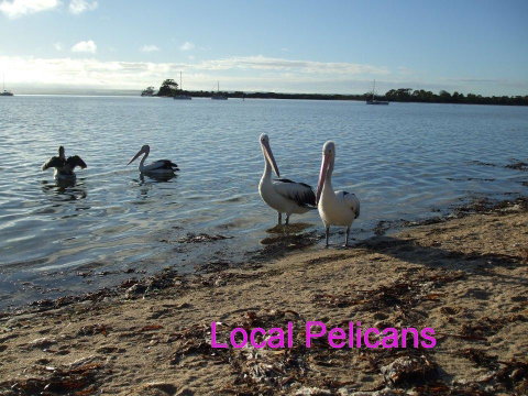 Casuarina Coastal Units - Kalgoorlie Accommodation 23
