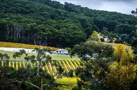 Esto House - Kalgoorlie Accommodation 4