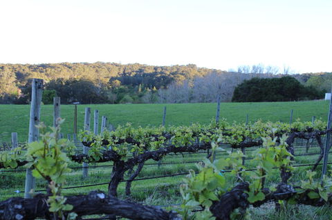 Esto House - Kalgoorlie Accommodation 23