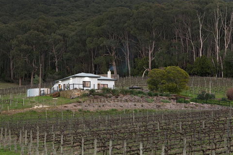 Esto House - Kalgoorlie Accommodation 3