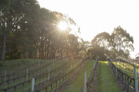 Esto House - Kalgoorlie Accommodation 2