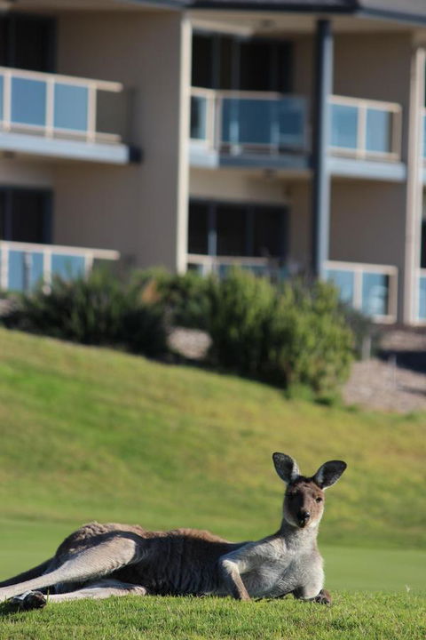 Lady Bay Hotel - Kalgoorlie Accommodation 16
