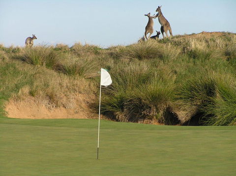 Lady Bay Hotel - Kalgoorlie Accommodation 17