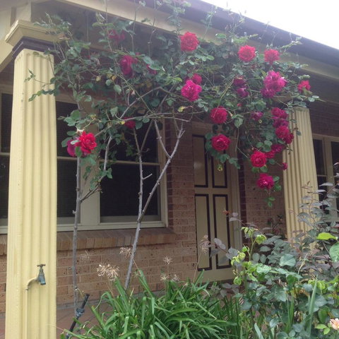Oats Cottage - Kalgoorlie Accommodation 3