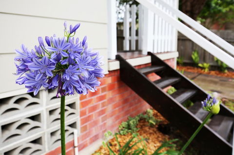 Hudson Bay @ Basin View-Pet Friendly-15 Mins To Hyams Beach - Kalgoorlie Accommodation 38