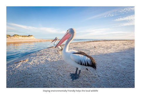 Adelaide Luxury Beach House - Kalgoorlie Accommodation 25