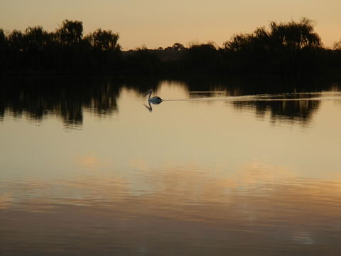 Washpool Retreat - Kalgoorlie Accommodation 25