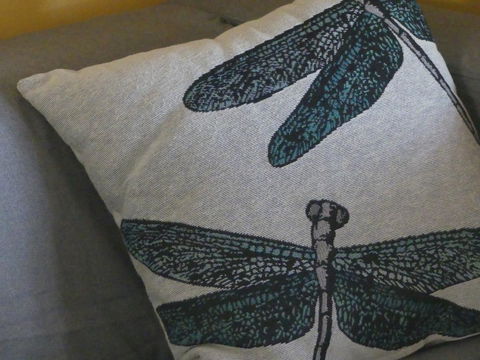 KI Dragonfly Guesthouse - Kalgoorlie Accommodation 43