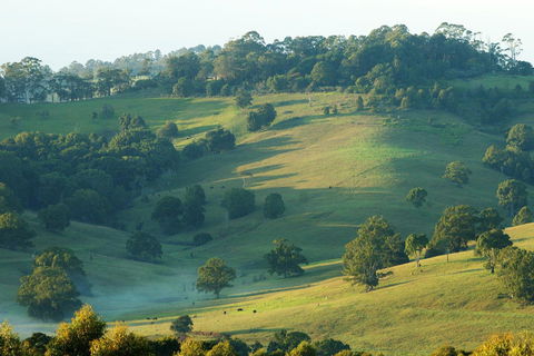 SummerHills Retreat Byron Bay - Kalgoorlie Accommodation 20
