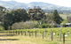 Archery Road Estate - thumb 12