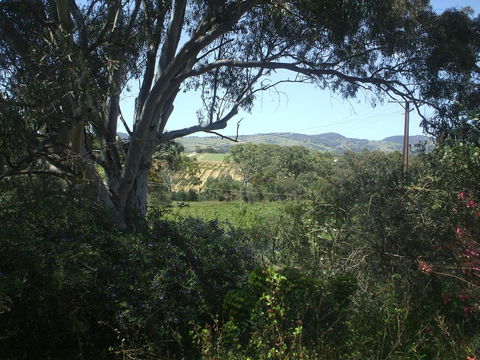Archery Road Estate - Kalgoorlie Accommodation 0