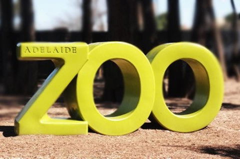 Executive 3 Bedroom Apartment + Internet + Parking - Kalgoorlie Accommodation 44