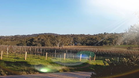 D2 At Watervale - Kalgoorlie Accommodation 23