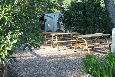 Millicent Hillview Caravan Park - Kalgoorlie Accommodation 9