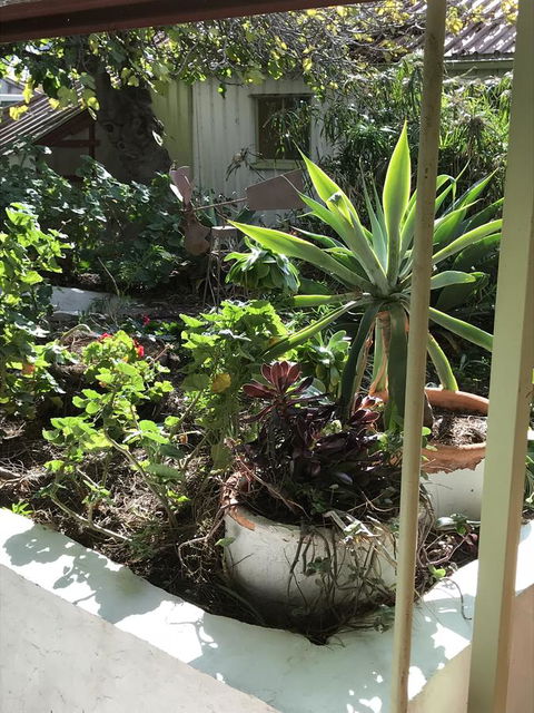 Cosy Nook - Kalgoorlie Accommodation 19