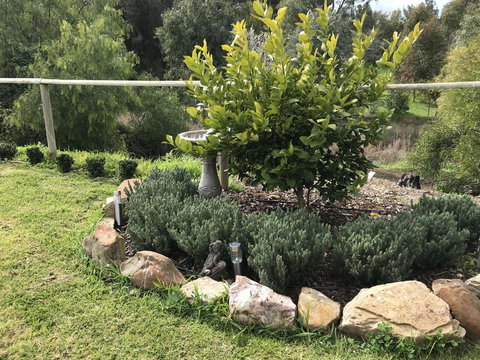 Adagio In Auburn - Kalgoorlie Accommodation 18